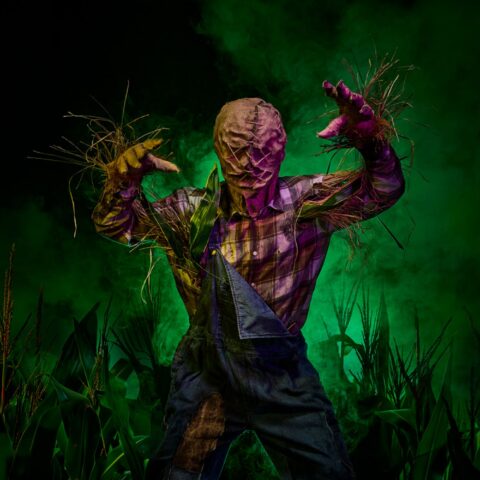 Toverland Halloween 2026